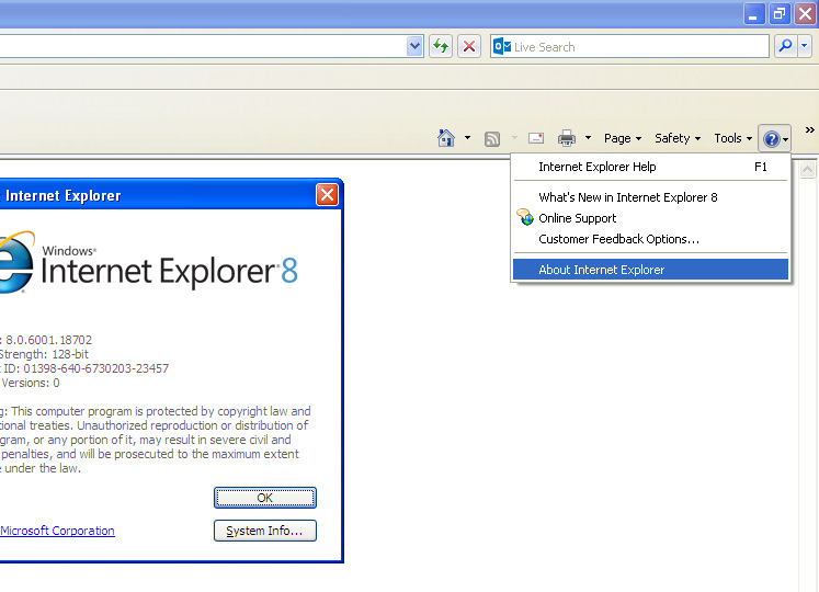 Internet Explorer 8 